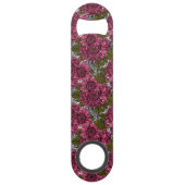 Chrysanthème rose (Dos)