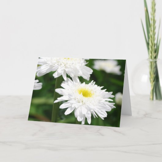 Chrysanthèmes blancs Cartes de voeux (Devant)