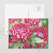 Chrysanthèmes peints Carte postale horizontale (Devant / Derrière)
