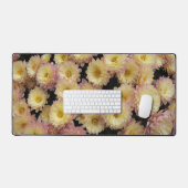 Chrysanthèmes roses petits Floral (Clavier et souris)