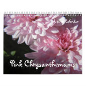 Chrysanthèmes roses, un calendrier 2012 (Protection)