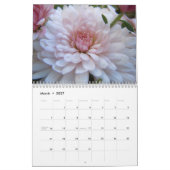 Chrysanthèmes roses, un calendrier 2012 (Mar 2027)