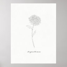 Chrysanthemum Art Print