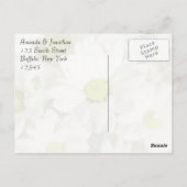 Chrysanthemum Bedankt Briefkaart (Achterkant)