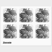 Chrysanthemum Black & White Square Stickers (Vel)
