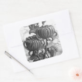 Chrysanthemum Black & White Square Stickers (Envelop)