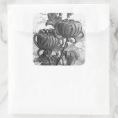 Chrysanthemum Black & White Square Stickers (Tas)
