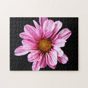Chrysanthemum Bloem 11x14 252pc jpcnm Legpuzzel