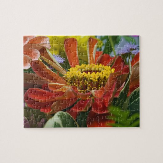 Chrysanthemum bloem legpuzzel (Horizontaal)