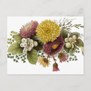 Chrysanthemum Bloem Mum Floral Briefkaart