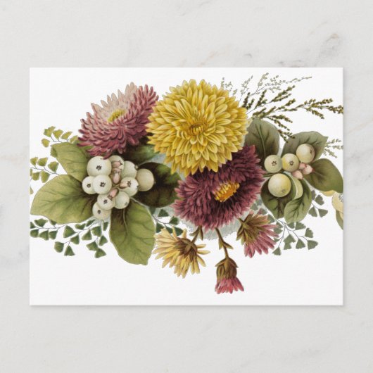 Chrysanthemum Bloem Mum Floral Briefkaart (Voorkant)