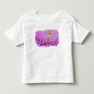 Chrysanthemum bloem versierd graf site in kinder shirts