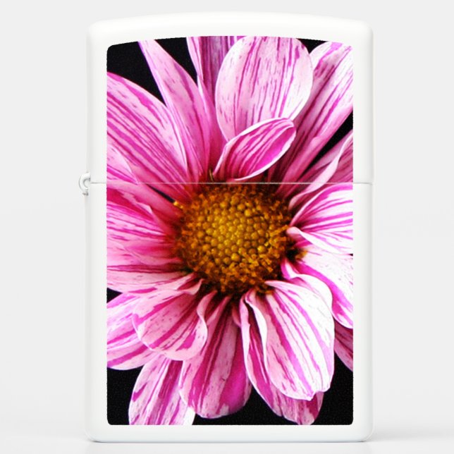 Chrysanthemum Bloem zla (Voorkant)