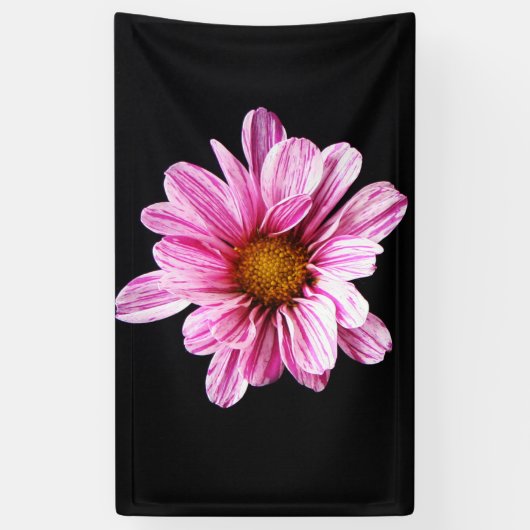 Chrysanthemum Bloemboom Spandoek (Verticaal)