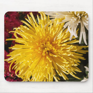Chrysanthemum bloemen muismat
