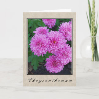Chrysanthemum - Bloemenserie Kaart