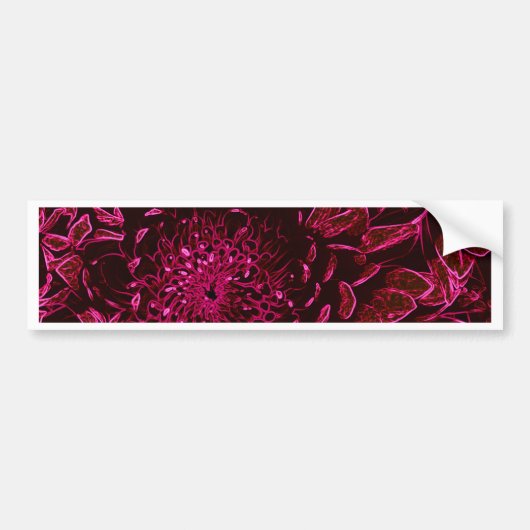 Chrysanthemum Bumpersticker (Voorkant)