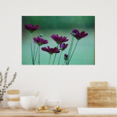 Chrysanthemum en betekenis poster (Keuken)