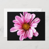 Chrysanthemum Flower pccna Briefkaart (Voorkant / Achterkant)
