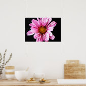 Chrysanthemum Flower wapcnm Poster (Keuken)