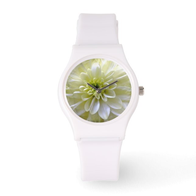 CHRYSANTHEMUM HORLOGE (Voorkant)