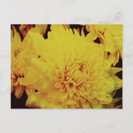 Chrysanthemum II Briefkaart