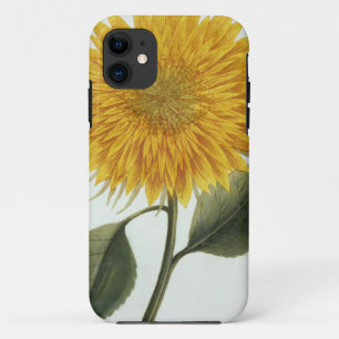 Chrysanthemum Indicum uit 'Pythanthoza Iconograph' iPhone 11 Hoesje