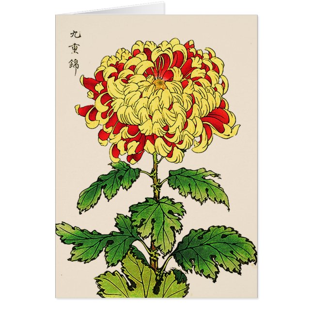 Chrysanthemum japonais vintage. Mustard Yellow (Devant)