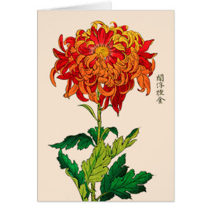 Chrysanthemum japonais vintage. Rouille et orange