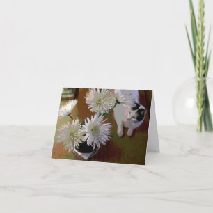 Chrysanthemum kat geluk briefkaart