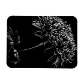 Chrysanthemum Magneet (Horizontaal)