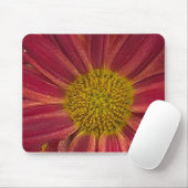 Chrysanthemum Muismat (Met muis)