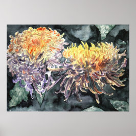 Chrysanthemum mum shasta maisy art print