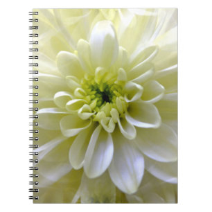 CHRYSANTHEMUM NOTITIEBOEK