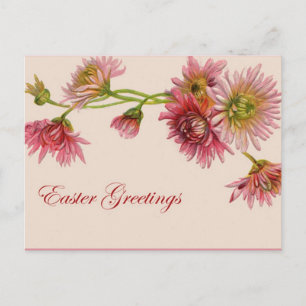 Chrysanthemum Pâques voeux - Carte postale