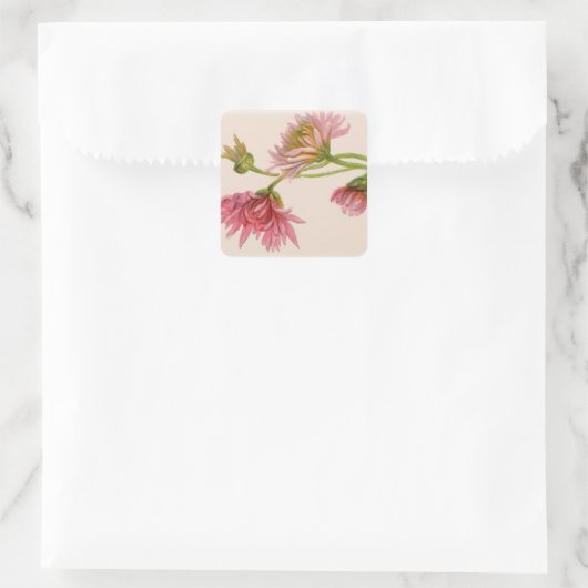 Chrysanthemum - Sticker (Sac)