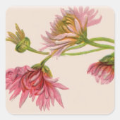 Chrysanthemum - Sticker (Devant)
