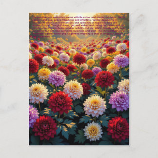 Chrysanthemum Symboliek Briefkaart