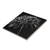 Chrysanthemum Tegeltje (Zijkant)