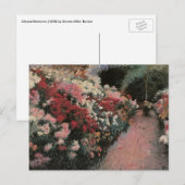 Chrysanthemums van Dennis Bunker Miller, Fine Art Briefkaart (Voorkant / Achterkant)