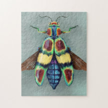 Chrysochroa fulgens Hout-bout Beetle Painting