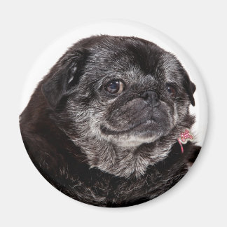 Chubbs De Wampug Magneet