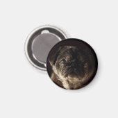 Chubbs De Wampug Zwart op Zwarte Magneet (Voorkant / Achterkant)