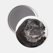 Chubbs Le Magnet Wampug (Recto/Verso)