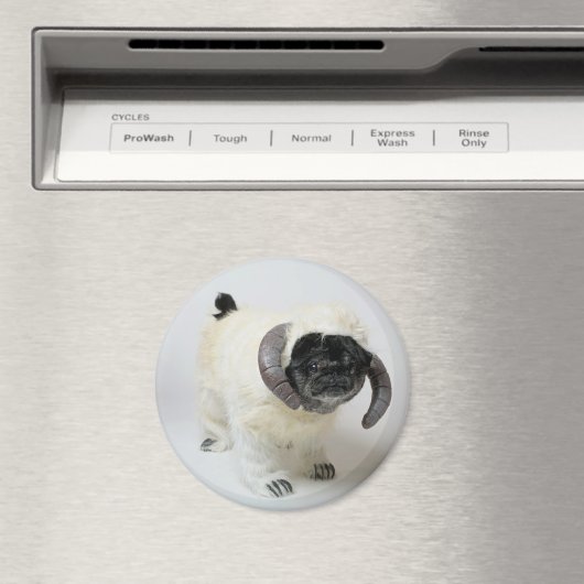 Chubbs Le Magnet Wampug (In Situ (Lave-vaisselle))