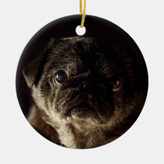 Chubbs The Wampug Black op Black Ornament (Voorkant)