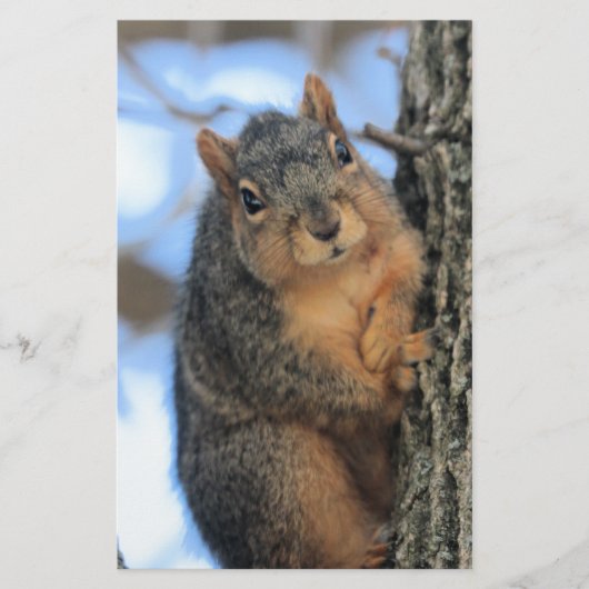 Chubby Briefpapier (Voorkant)