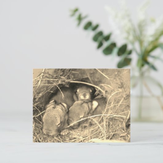 Chubby Bunny Challenge - Briefkaart (Staand voorkant)