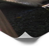 Chubby Chipmunk Poster (Hoek)