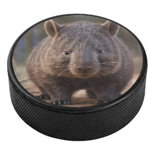 Chubby, de Australische wombat, Hockey Puck